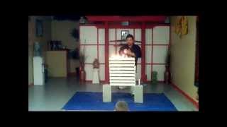 Concrete Fire Break - Master Kevin Bergquist - Cobra Tai Grand Opening - Yamagawa Ryu Karate