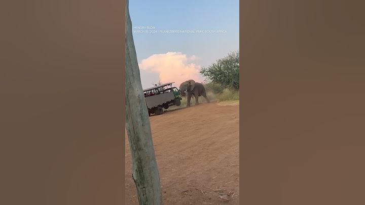Elephant lifts safari truck in South Africa