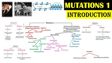 Mutations | Introduction | Somatic Mutations | Germinal Mutations | Muton | Dr Ghanshyam Jangid