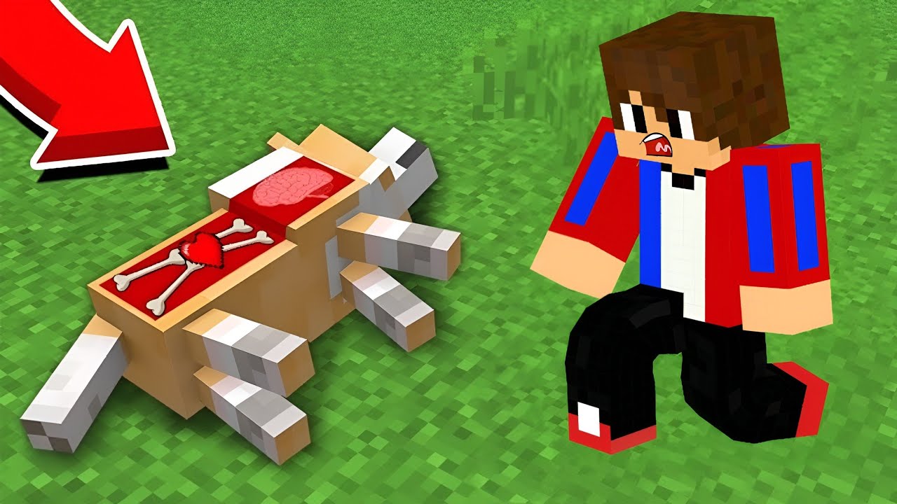 ԵՍ ՓՐԿԵՑԻ ՄԵՐ ՇԱՆ ԿՅԱՆՔԸ!? Arm Zone Minecraft Hayeren