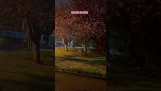 GÖZƏL ŞEHİRLƏR NƏRƏSİ