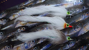 Tying a Grey & White Mullet Tarpon Bunny with Davie McPhail