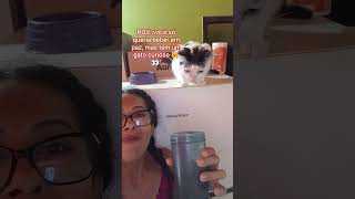 Gato curioso não deixa ninguém beber em paz 😂🐱#shorts #gatos #cats#gatocurioso  #viral#cleitinhofuba