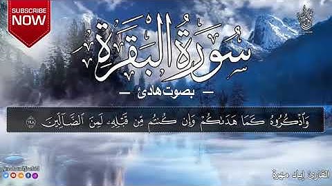 سورة البقره القارء اياد مهره