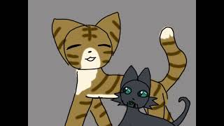 Never Love An Anchor — Crowfeather — Warrior Cats