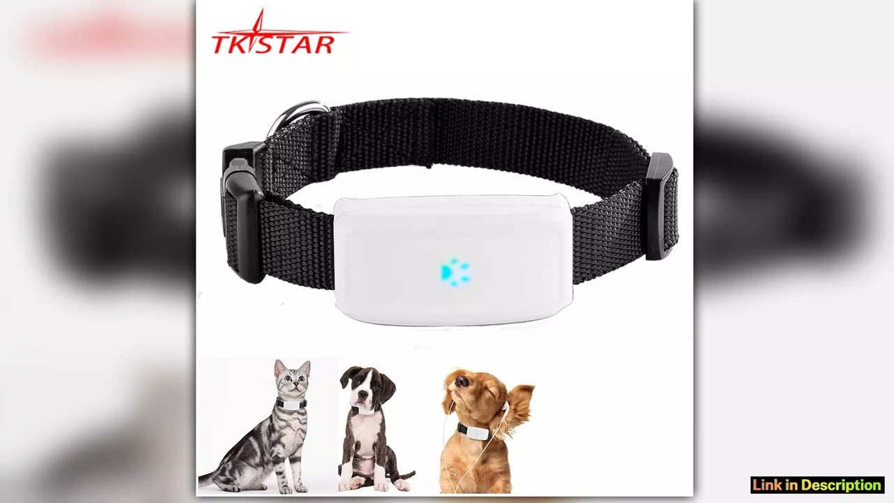 2G GSM GPS Tracker Pet TK911 GPS Locator TKSTAR Mini GPS Pets Tracker 2G GSM Best Dog GPS Tracker