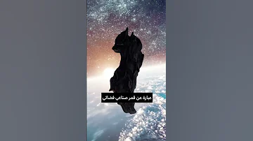 الفارس الأسود Shorts 