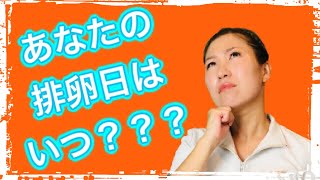 【すきっと向上委員会TV】私の排卵日はいつでしょう…？