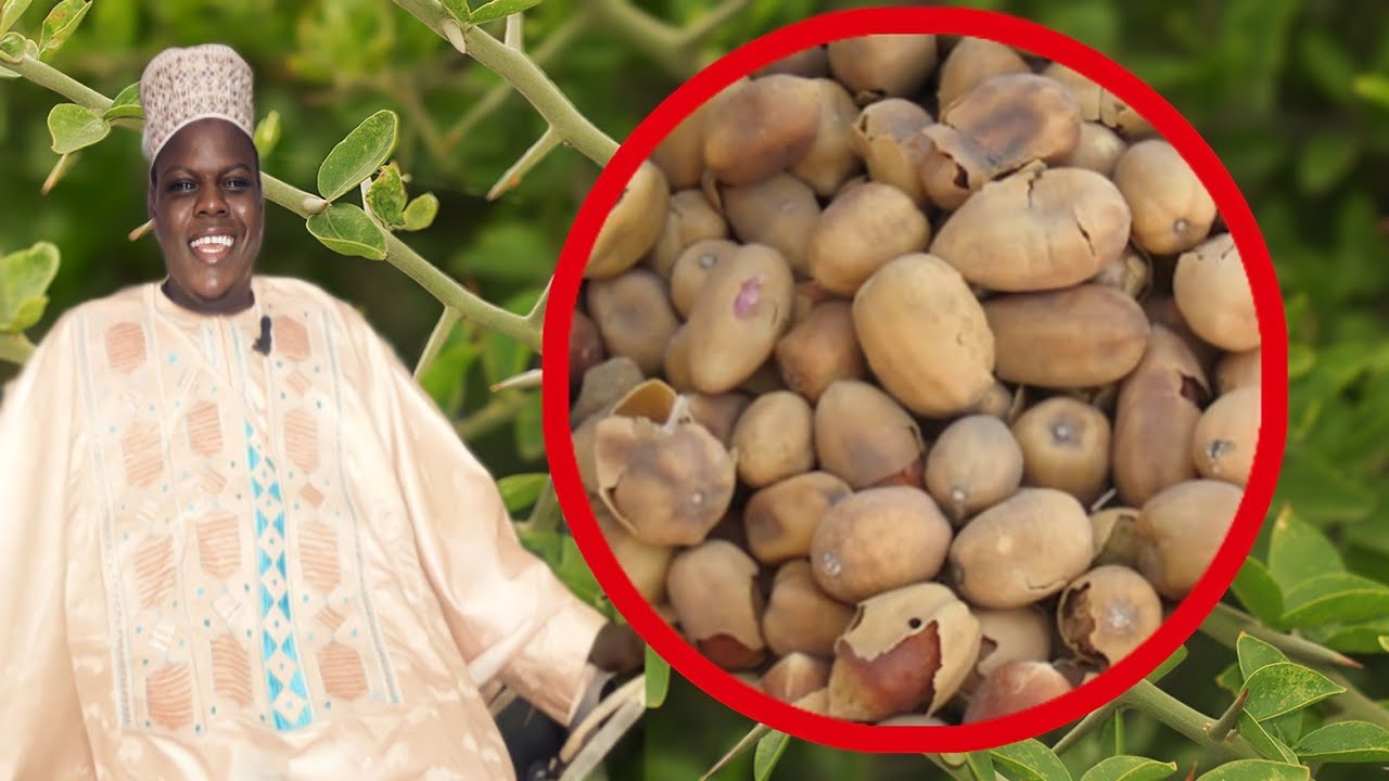 oubekou weurseuk ak Allal gou gaw 💰 kou beug khalisse défal ndiarignou soumpou ak yatou deumou......