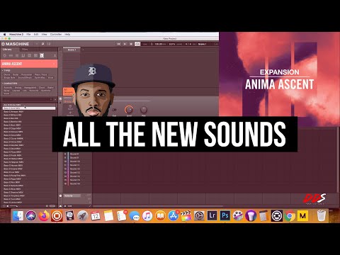 New Anima Ascent Expansion (Sound By Sound) Loops, Drums & More