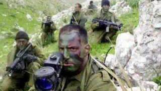 Israel Defense Forces