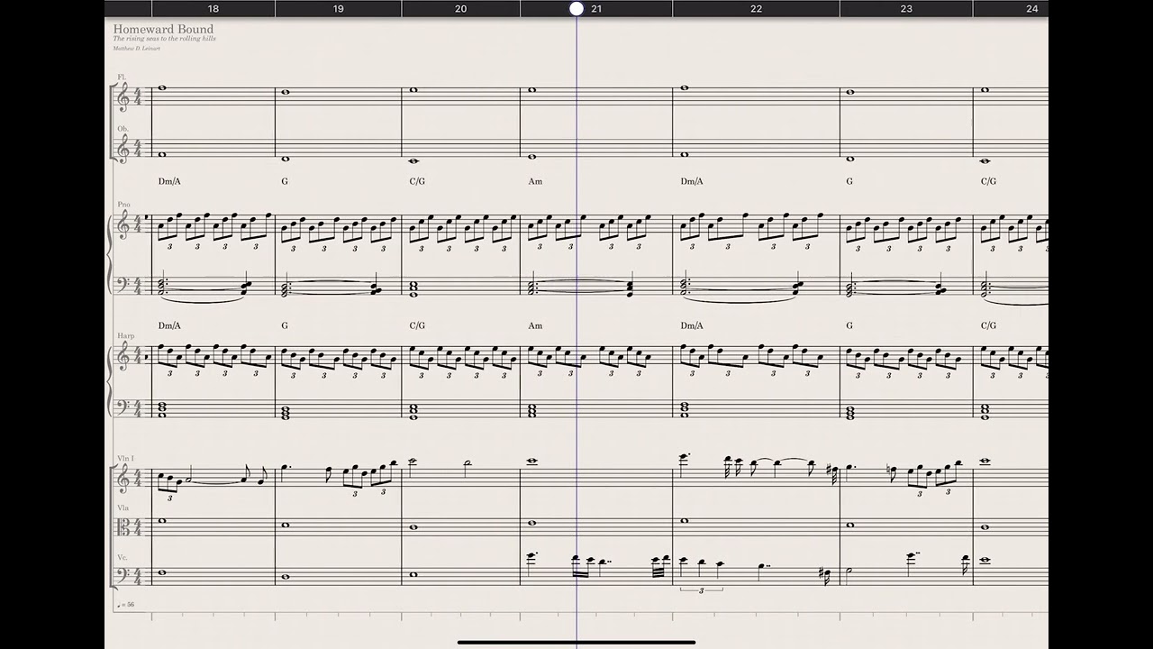 Homeward Bound by Matthew Leinart