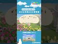 【あつ森】マイデザイン無しの島づくり|広大な花畑のある博物館Ver|Animal Crossing: New Horizons【島クリエイター】#Shorts #acnh #島クリエイター