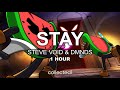 Steve void  dmnds  stay  1 hour