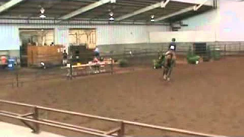 Eddie: Hunter/Equitatio...  Horse, Oklahoma Go Sho...