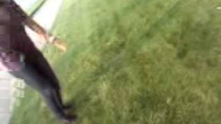 VID00042.3gp