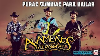 Los Alameños De La Sierra - Las Mas Cumbias Para Bailar MIX 💃🎸 Corridos y Cumbias Sierreñas