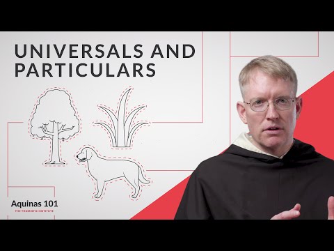 Universals and Particulars, Genus and Species w/ Fr. James Brent, O.P. (Aquinas 101)