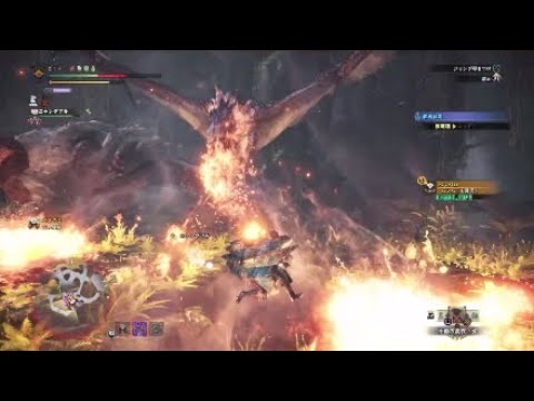 Mhwib 傷ついたイャンガルルガ 最大金冠 初見プレイ ソロ ハンマーの旅 Mhwアイスボーン Youtube