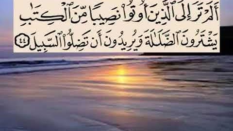 سورة النساء اية ٤٤ جمال القرش