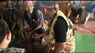 Rambang Baulang || Randau Jokak#lagudayakkalbar