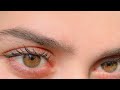 عيون الربيع اقوى سبليمنال احصل على لون عيون الربيع الحديقة المزهرة والعشب الاخضر والزهر الاصفر