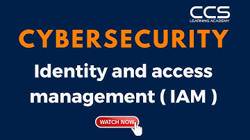 Cybersecurity: Identity and access management ( IAM )