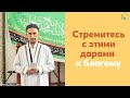 Стремитесь с этими дарами к благому