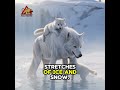 Wolf Father Protects His Pup in the Frozen Wilderness! ❤️🐺 #naturedocumentary #wildlife #wildlife