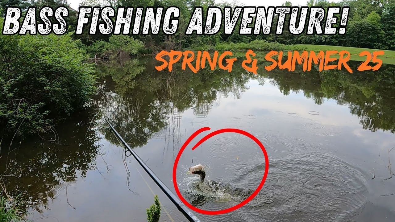 My Favorite Bass Fishing Moments 2025 – Spring & Summer (& Bonus Species!)