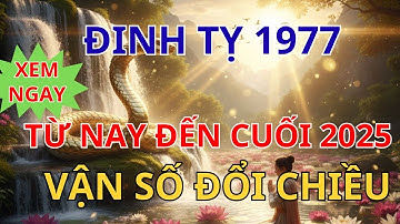Từ Nay Đến Cuối 2025, Đinh Tỵ 1977 Vận Số Đảo Chiều   Tiền Về Như Thác Đổ | Bí Ẩn Phong Thủy