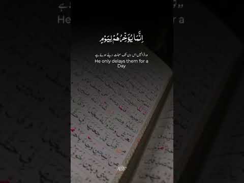 best ayat