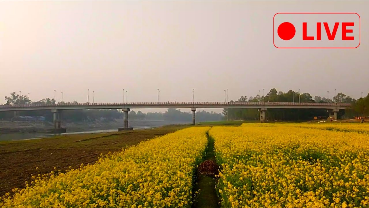 লাইভ  টা দেখুন সোনার বাংলা এমনি নাম হয়নি আমাদের দেশের