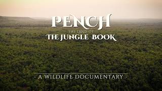 PENCH the Land of the Jungle book | LEOPARD QUEST