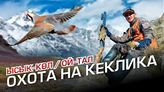 картинка: КЕКЛИККЕ АНЧЫЛЫК / ЫСЫК-КОЛ / ОЙ-ТАЛ АЙЫЛЫ