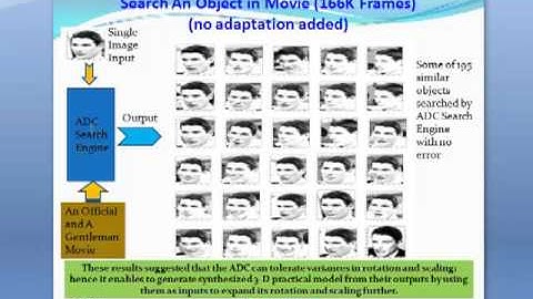 Statistical Study of Bio-inspired Partial, Scaling and Aging Face Detection and Identification