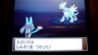 Catching Diagla In Pokemon Platinum