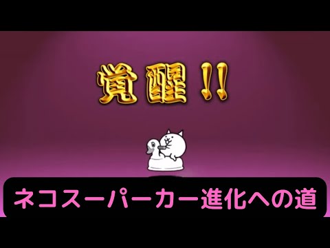 【にゃんこ大戦争】ネコスーパーカー（女王の発掘調査３ステージ攻略報酬）進化♫