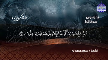 تلاوة تجمع أداء بين الترتيل والتحبير  .. للقارئ العجيب / سعيد محمد نور  * من سورة النمل  | HD