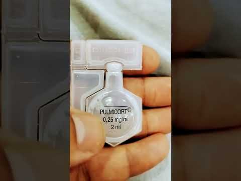  بالمايكورت