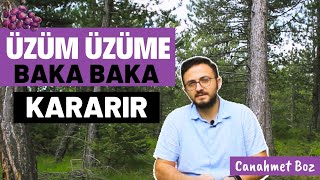 Ayna Nöronlar - Klinik Psikolog Canahmet Boz