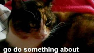 Maus And Her Big Problem