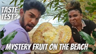 Eating Jack Fruit For The First Time Taste Test