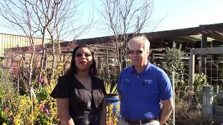 Morris Nursery for your Landscaping and Gardening Needs