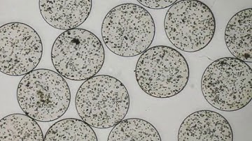 MNT-DG2000 Single Phase Air Microdroplet Generation System - Microfluidic Droplet Generator