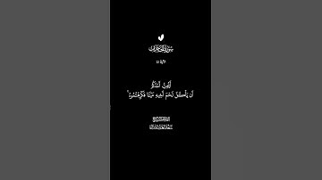 الآية 12 سور الحجرات #الشيخ_سعد_الغامدي