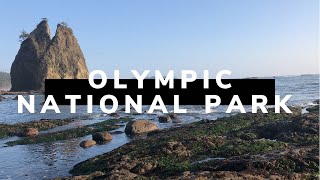 Things to do in Olympic National Park