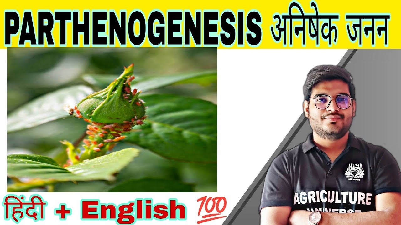 Define parthenogenesis what is parthenogenesis parthenogenesis in