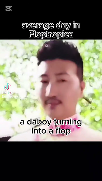 Download lagu average day in Floptropica #floptropica #jiafei #slay