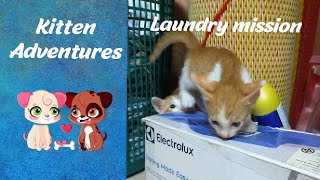 Kitten Adventures - Laundry helpers